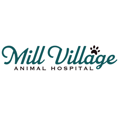 Mill Village Animal Hospital